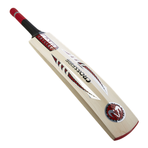 Cricket bat PNG-76673